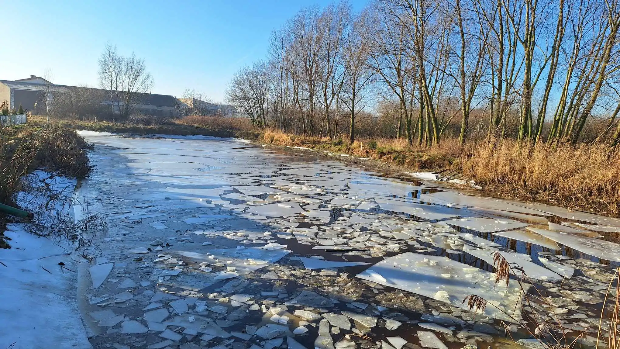 Przebudowa zbiornika wodnego o charakterze retencyjnym na działce nr ew. 32 w m. Truszczyny, Gmina Rybno - przed