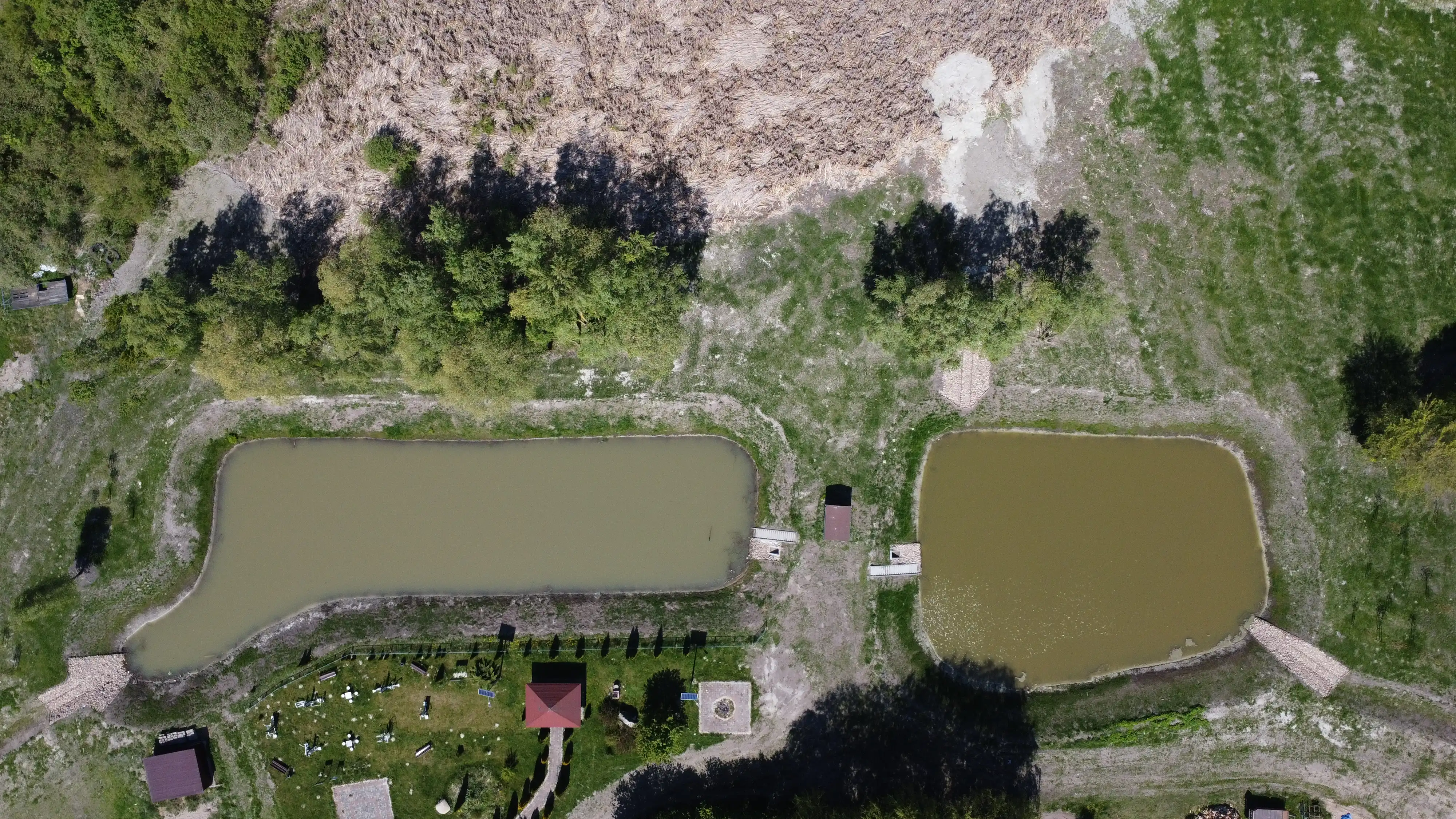 Przebudowa zbiornika wodnego o charakterze retencyjnym na działce nr ew. 32 w m. Truszczyny, Gmina Rybno - po