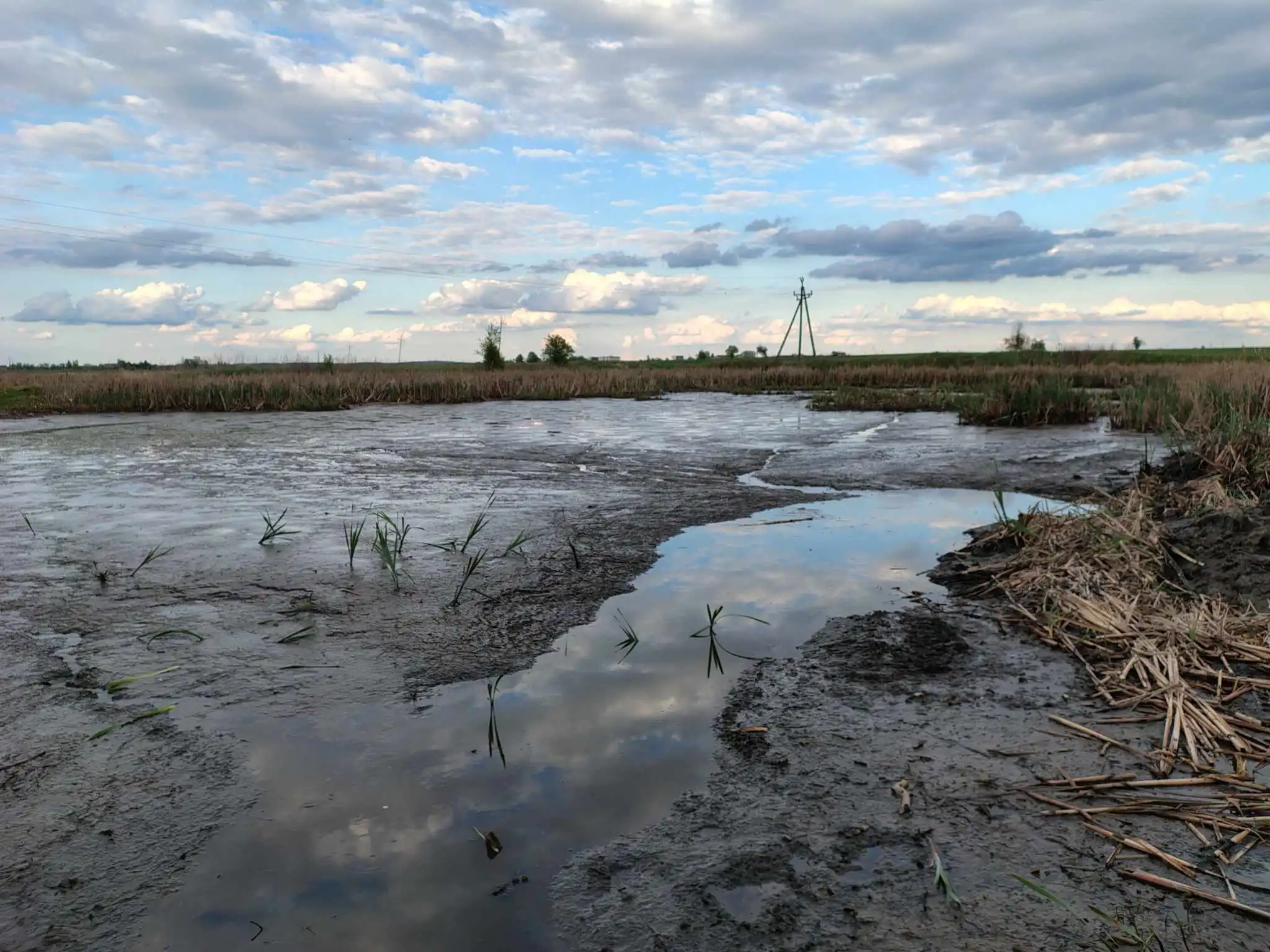 PRZEBUDOWA  - RENOWACJA ZBIORNIKA WODNEGO W MIEJSCOWOŚCI RZĘGNOWO, GMINA DZIERZGOWO