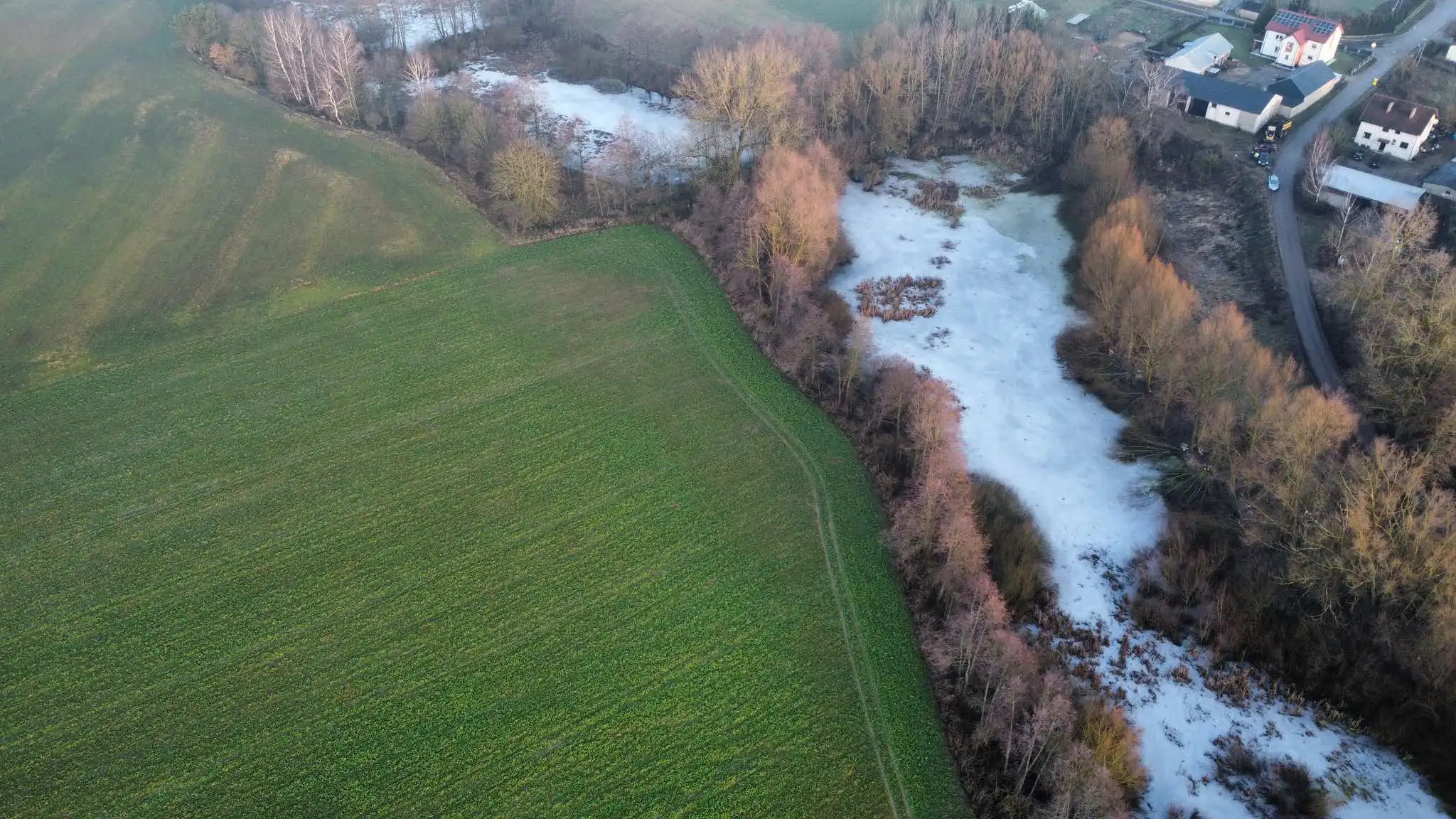 Przebudowa zbiornika wodnego o charakterze retencyjnym na działce nr ew. 109 w m. Naguszewo, Gmina Rybno - przed